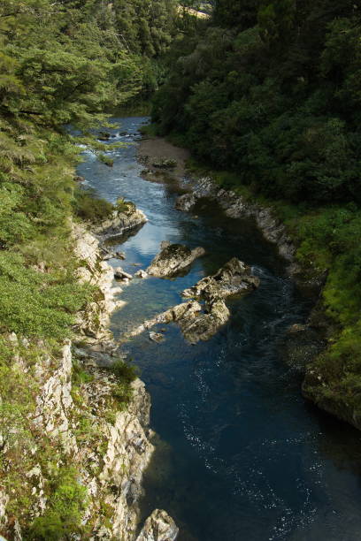 fiume pelorus nella riserva panoramica del ponte del peloro, regione di marlborough sull'isola del sud della nuova zelanda - marlborough region zealand new new zealand foto e immagini stock