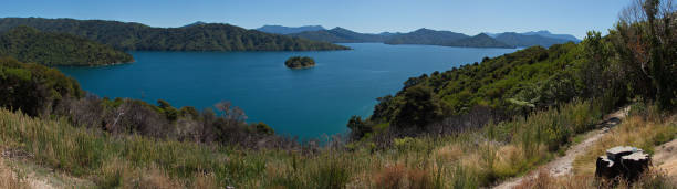 ニュージーランド南島のマールボロ、ピクトン近くのクイーンシャーロットサウンドの風景 - queen charlotte sound ストックフォトと画像