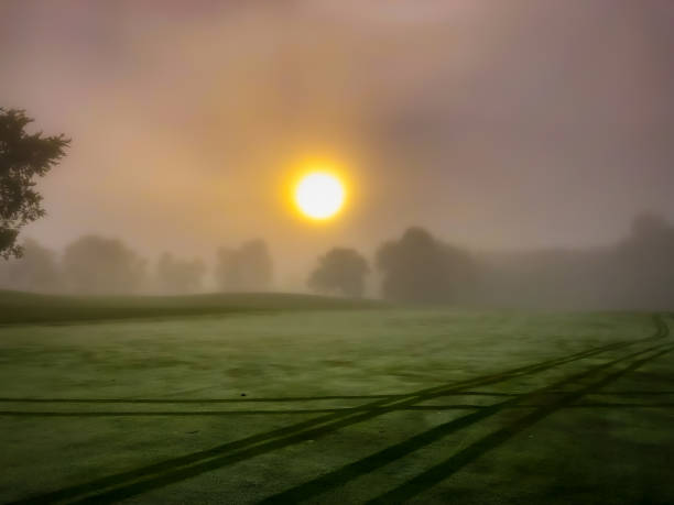 Sun in Fog stock photo