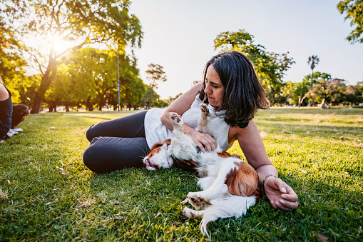 Happy mature woman with Cavalier king Charles spaniel pet in public park lying in grass.