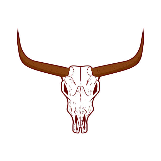 illustrazioni stock, clip art, cartoni animati e icone di tendenza di icona del teschio di toro. vettore testa bufalo - texas longhorn cattle horned cattle farm