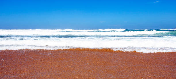 istock Ocean surf on a sandy beach on a Sunny day. 1269097982