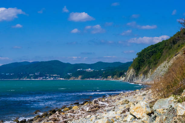 istock rocky sea shore with pebble beach, waves with foam 1269098812