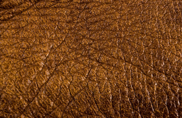 istock Old vintage genuine soft brown leather texture background, top layer with pores and scratches, macro, close-up 1269099092