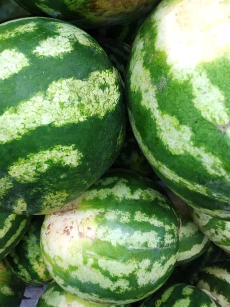 istock Vegetables and fruits. 1269099396
