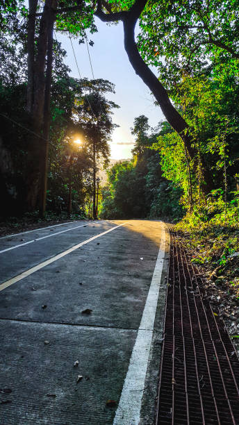 carretera en la colina - thailand forest outdoors winding road fotografías e imágenes de stock