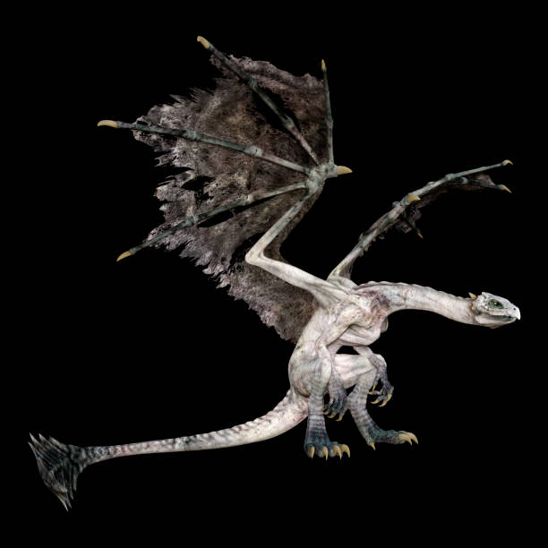 istock 3D illustration fantasy dragon on black 1269105288