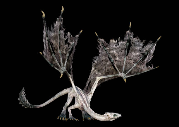istock 3D illustration fantasy dragon on black 1269105304