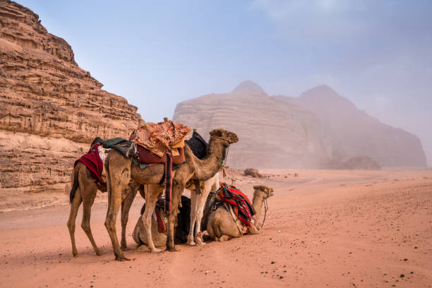 istock desert in Jordan- Wadi Rum , sandstone pillars 1269108958