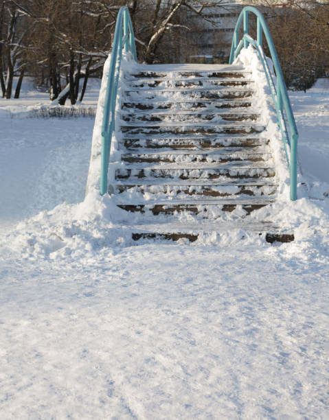istock bridge over pond at winter 1269109707