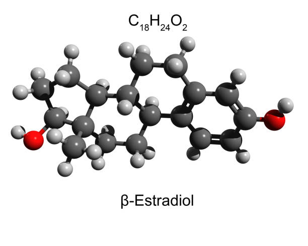 istock The 3D structure of the estradiol molecule 1269115289