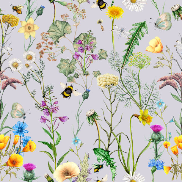 ilustrações, clipart, desenhos animados e ícones de padrão sem emenda de flores de jardim desenhadas à mão, plantas e insetos - uncultivated flower chicory cornflower