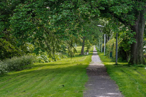 istock Narrow straight path in a park on a sunny summer day 1269118239