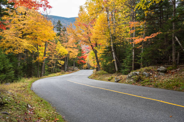 istock Deserted mountain road lined with deciduous trees at the peak of fall foliage 1269118349