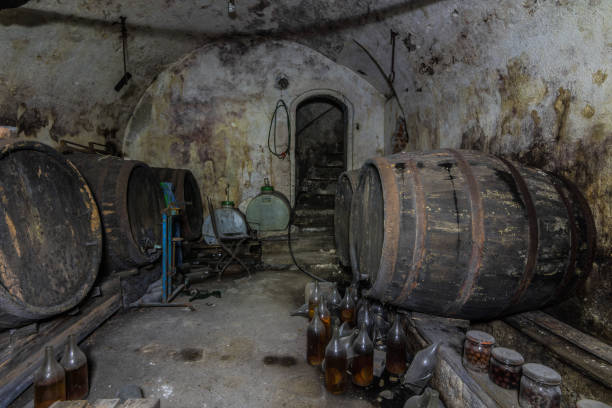 vine barrels and bottles in a dark cellar