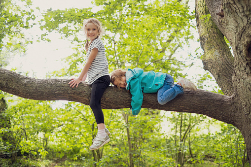 Two happy little girls are climbing a tree in a wooded area
