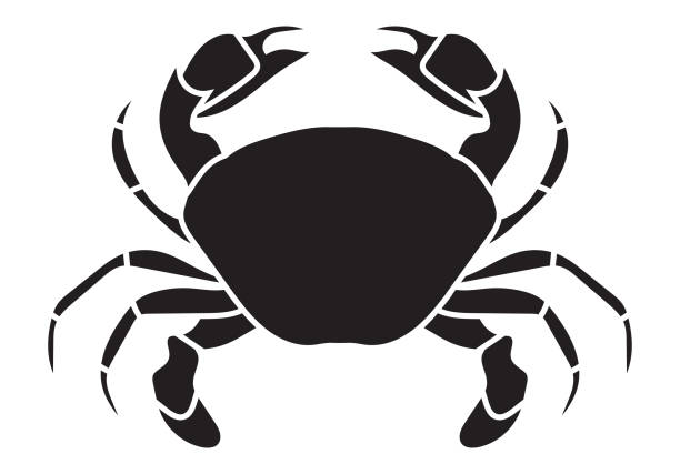 Crab seafood flat vector icon for apps or website Crab seafood flat vector icon for apps or website coconut crab stock illustrations