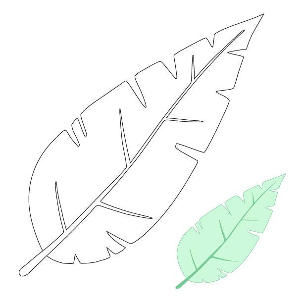 istock Tropical leaves hand drawn vector sketches set. Exotic plant, black ink illustrations. Outline floral design, plumeria, palm trees, ficus, fern. Monochrome floral postcard design elements for coloring 1269122249