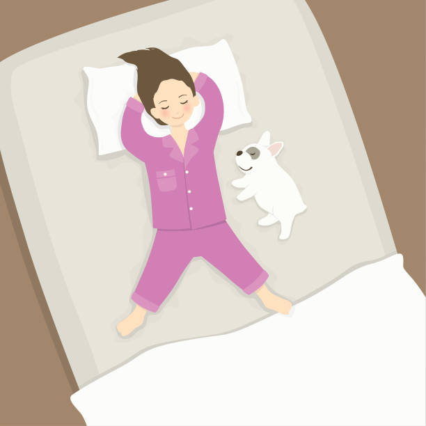Girl sleeping with dog in bed Vector illustration of girl in pyjamas sleeping with her French Bulldog in bed pajamas illustrations stock illustrations