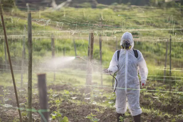 Chinese Female farmer with protective suit manual pesticide sprayer on her plantation