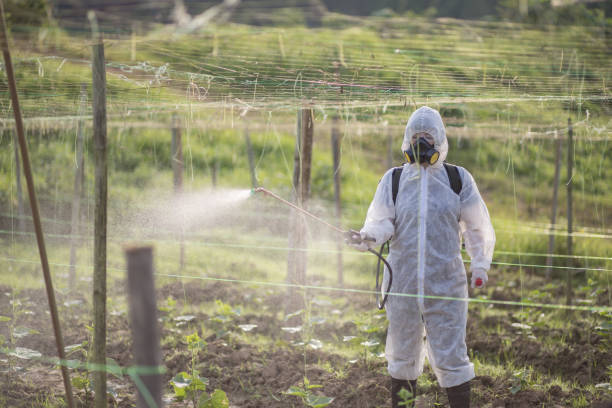 chinese female farmer with protective suit manual pesticide sprayer on her plantation - ding imagens e fotografias de stock