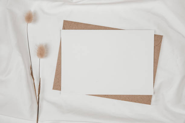 istock Blank white paper on brown paper envelope with Rabbit tail dry flower on white cloth. Mock-up of horizontal blank greeting card. Top view of Craft envelope on white background. Flat lay minimalism 1269125472