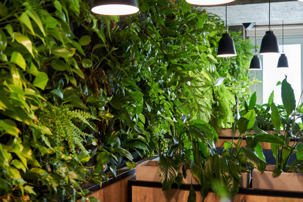 istock Interior view of modern office canteen 1269128606