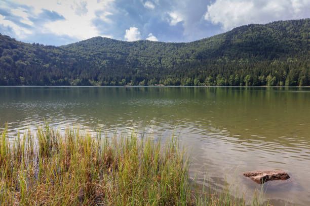 istock Saint Ana volcanic lake in Romania 1269129923