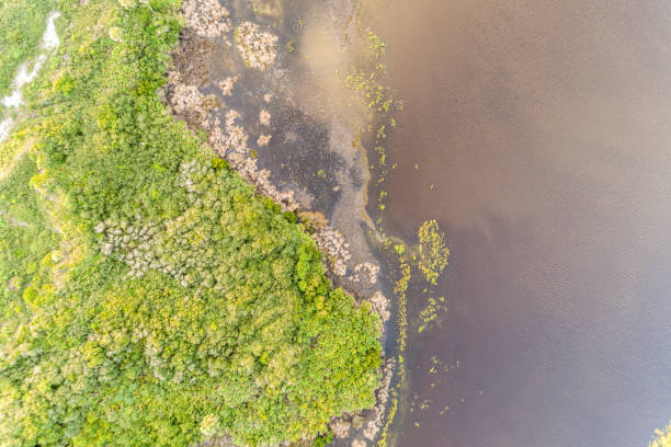 istock Aerial View over Florida Marsh and River 1269130965
