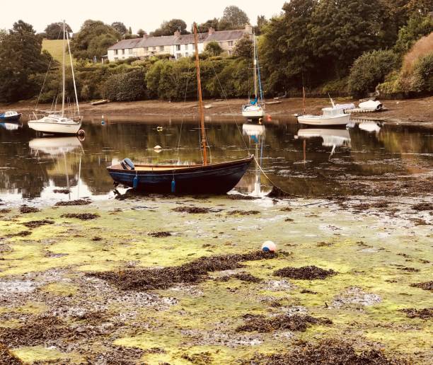 boats at low tide