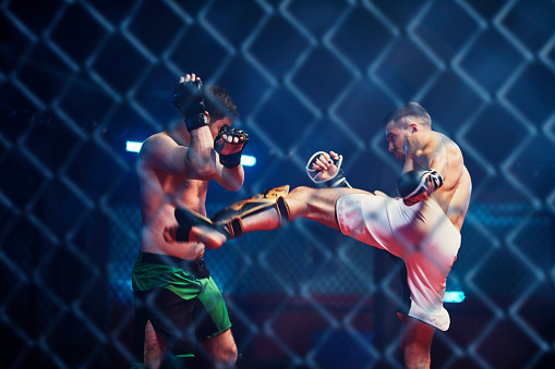 Mixed martial arts fighters on a ring. Deadly kicks