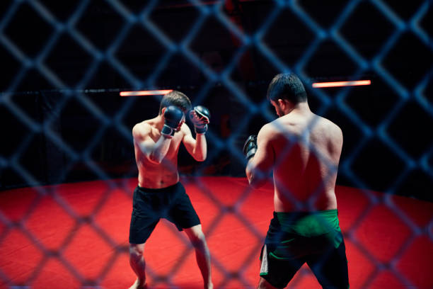 istock MMA fighters throwing punches in octagon. Looking through net 1269133466