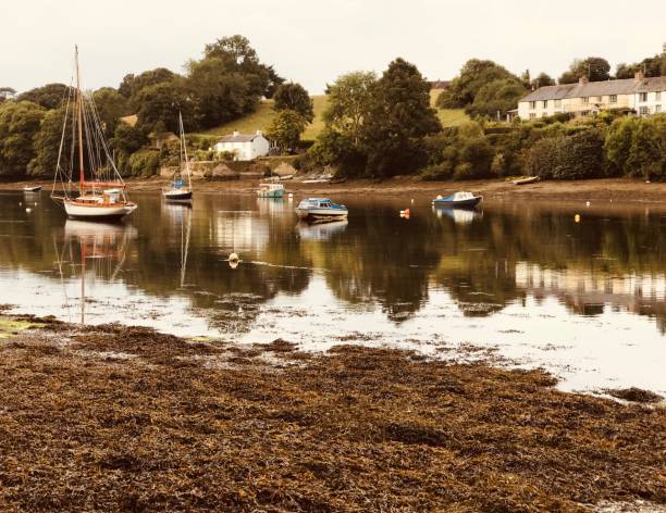 istock boats at low tide 1269133534