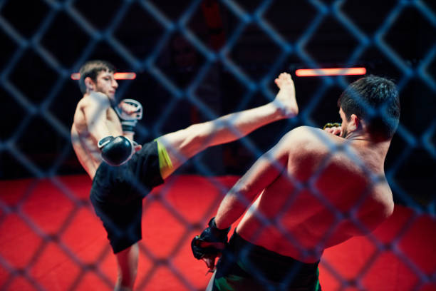 MMA fights in octagon. Training fights. Kicks Mixed martial arts fighters on a ring. Deadly kicks mixed martial arts photos stock pictures, royalty-free photos & images