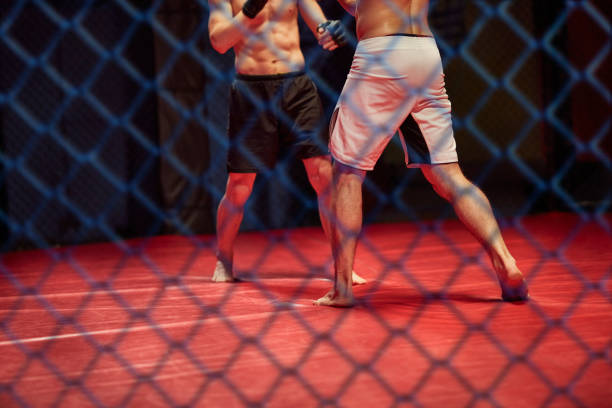 Mixed martial arts fighters on a ring. Rough fight