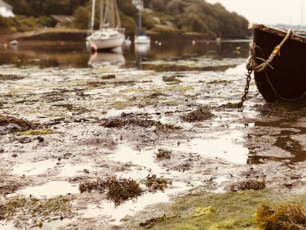 boats at low tide