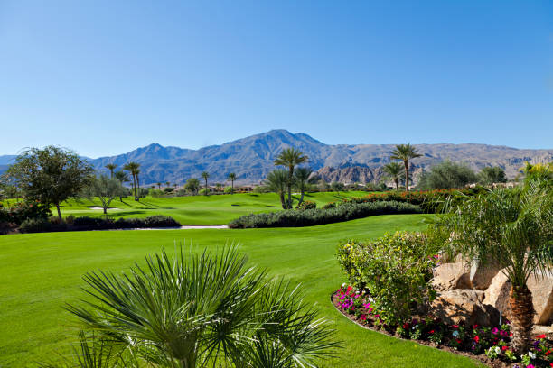 istock View of mountains with private lawn in foreground 1269139935
