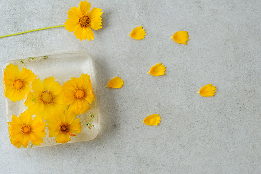 Yellow flowers frozen in ice. Floral ice background. Horizontal orientation.