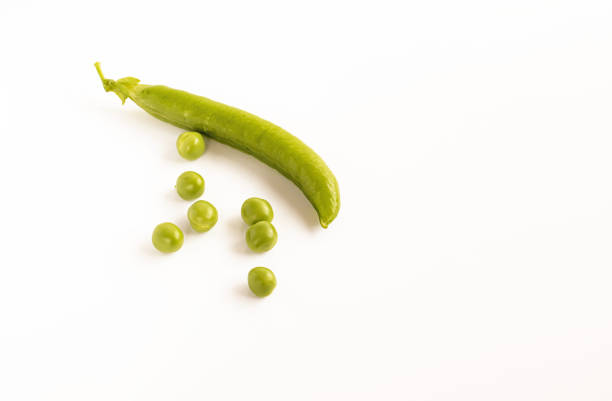 one pod of green peas isolated on white background - green pea pea pod salad legume imagens e fotografias de stock