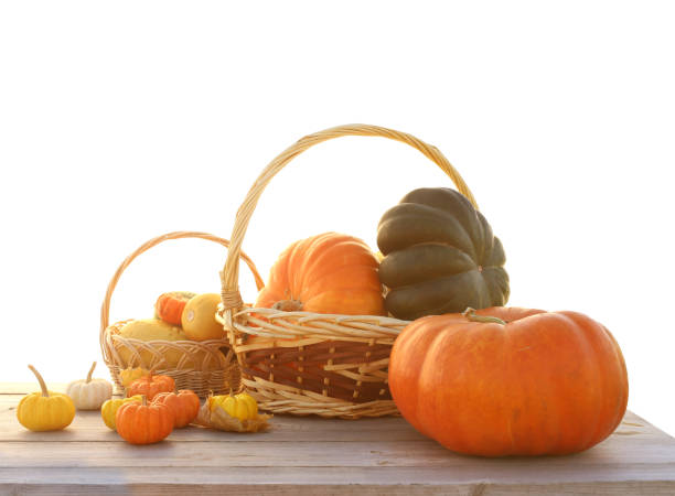 istock Pumpkins and maple leaves isolated on white background.Harvest or Thanksgiving table 1269142042