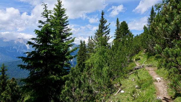 istock Hiking in the Alp Mountains 1269142412