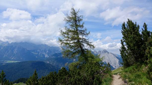 istock Hiking in the Alp Mountains 1269143617
