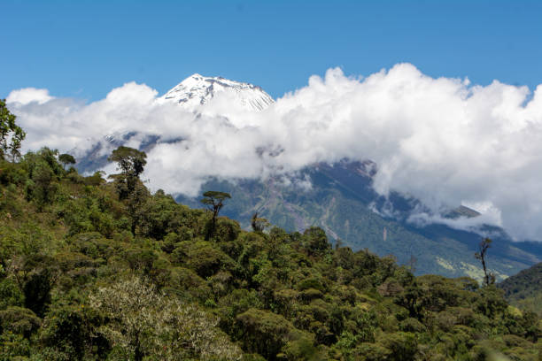 Landscape of the tungurahua volcano located in Ecuador Landscape of the tungurahua volcano located in Ecuador mt tungurahua sunset mountain volcano stock pictures, royalty-free photos & images