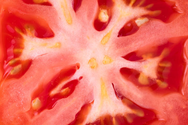 istock Close up of a slice of tomato, raw red fruit macro, abstract background, pattern. 1269150036