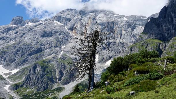istock Hiking in the high mountains 1269152411