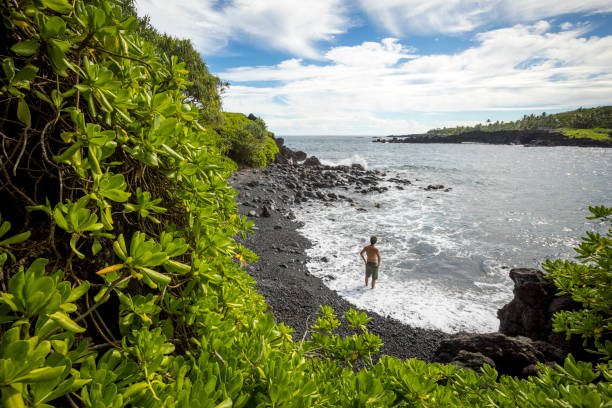 와이아나파나파 주립 공원의 검은 모래 해변에서 남성. - hana maui sea scenics 뉴스 사진 이미지