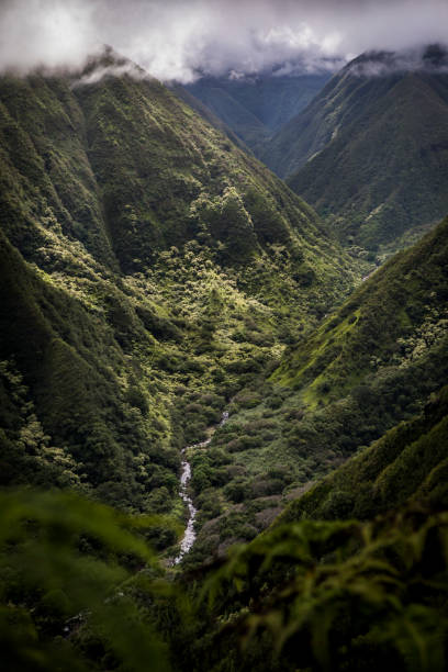 views from waihee ridge trail. - haleakala national park imagens e fotografias de stock