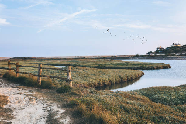 seven sisters country park, cuckmere haven, east sussex, royaume-uni - landscape scenics beach uk photos et images de collection