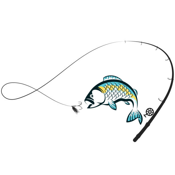 280+ Fishing Hook Close Up Stock Illustrations, Royalty-Free Vector  Graphics & Clip Art - iStock