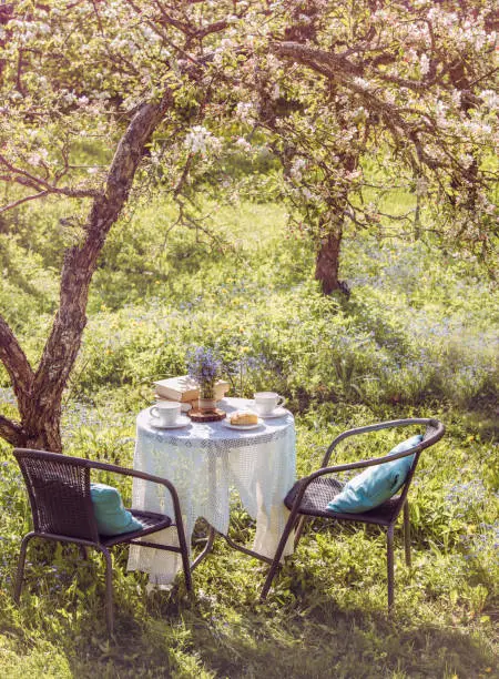 Photo of Springtime in garden. Table set with tea cups, boho reuse jar vase with forget me not flowers( Myosotis) and small stack of books. Summer relax readings concept.